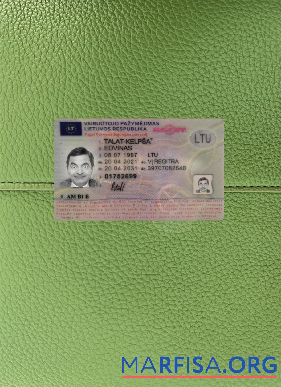 Printable Lithuania driving license 2021 present photolook real example